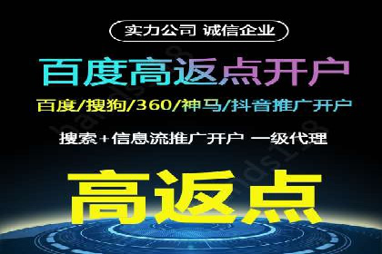 某电商平台信息流广告的精准推广策略